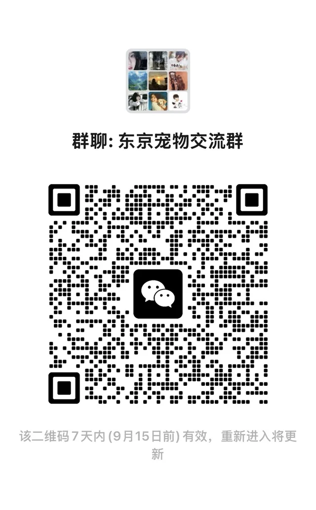 无任何隐形消费纯交流狗狗，广告别加