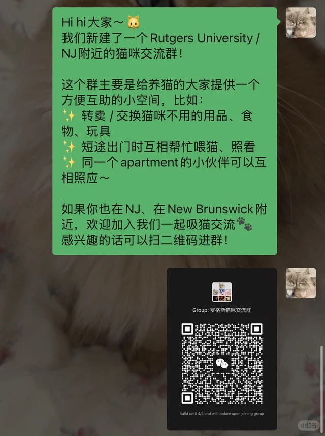 罗格斯猫咪交流群 想进的朋友加我！ 二维码缩略图
