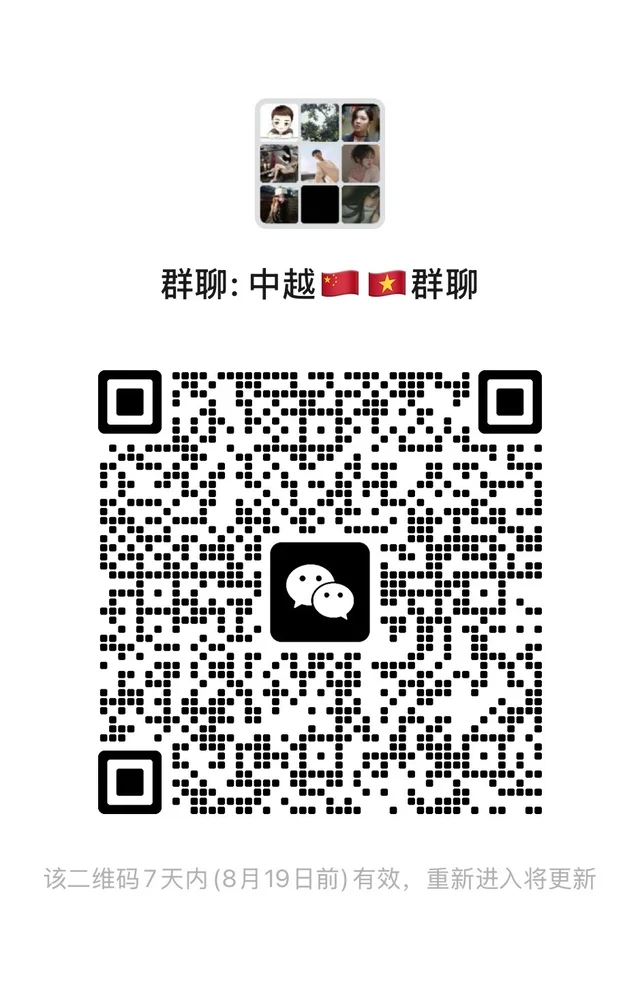 群：中越🇻🇳群聊 二维码缩略图