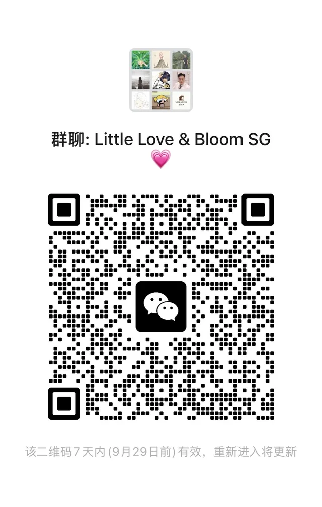 💐小群分享｜新加坡🇸🇬 二维码缩略图