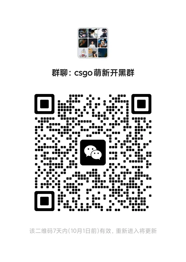 csgo开黑群 群二维码