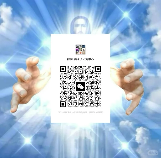 上海摸鱼群24小时在线等你急急急 二维码缩略图
