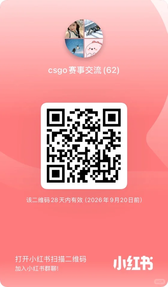 没找到:CSGO群,来! 群二维码
