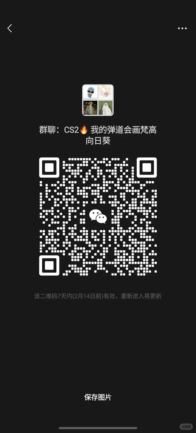 CS2完美5E开黑裙 二维码缩略图