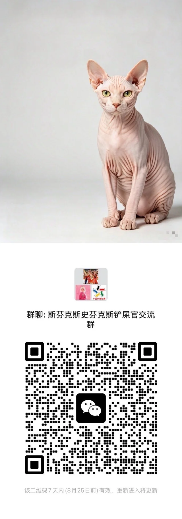 斯芬克斯史芬克斯交流群 二维码缩略图