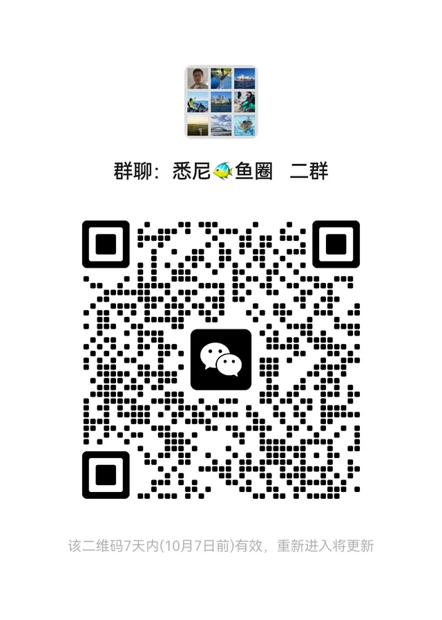 澳大利亚悉尼，多个群聊 二维码缩略图