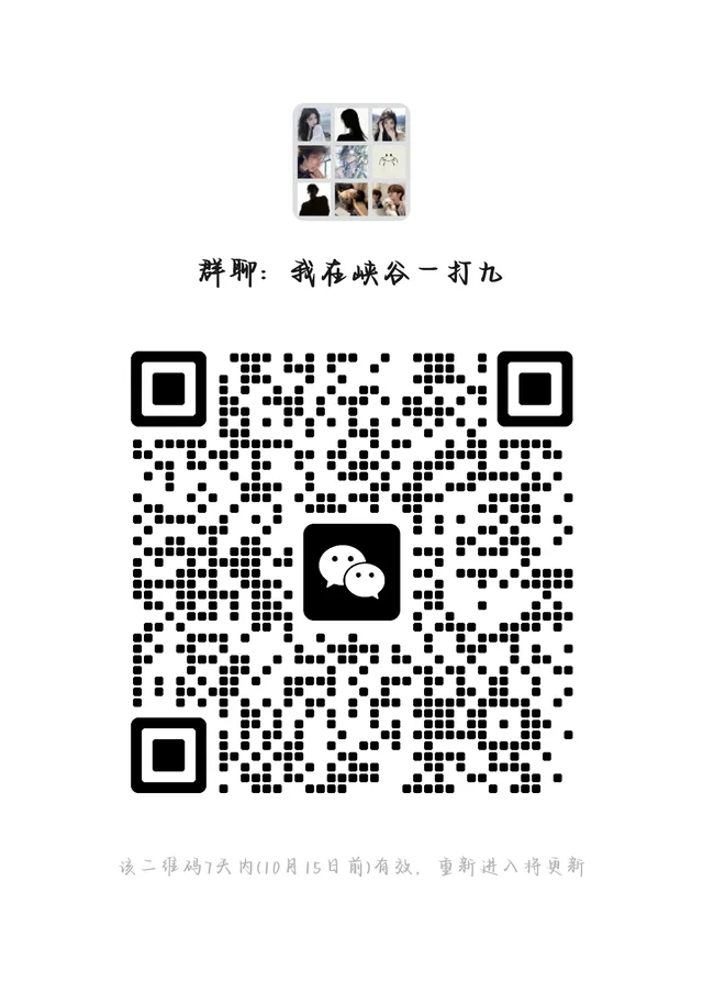 王者群,有没有一起上分的宝子 群二维码