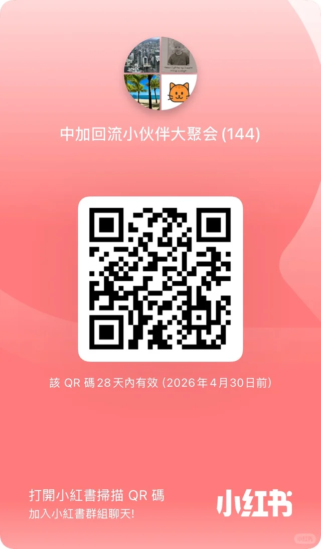 中加回流经验分享群 群二维码