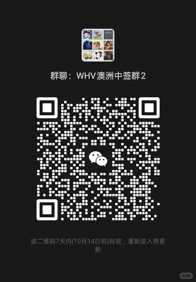 Whv中签群 群二维码