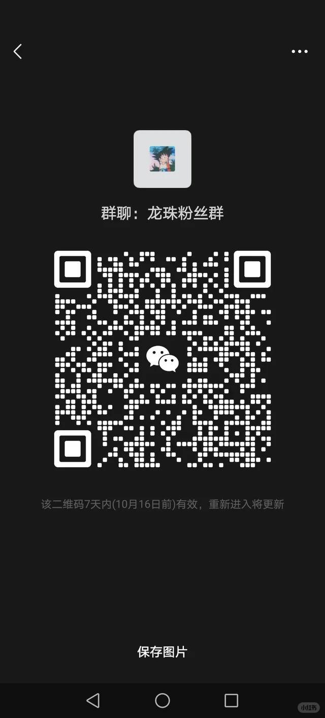 龙珠粉丝交流群 二维码缩略图
