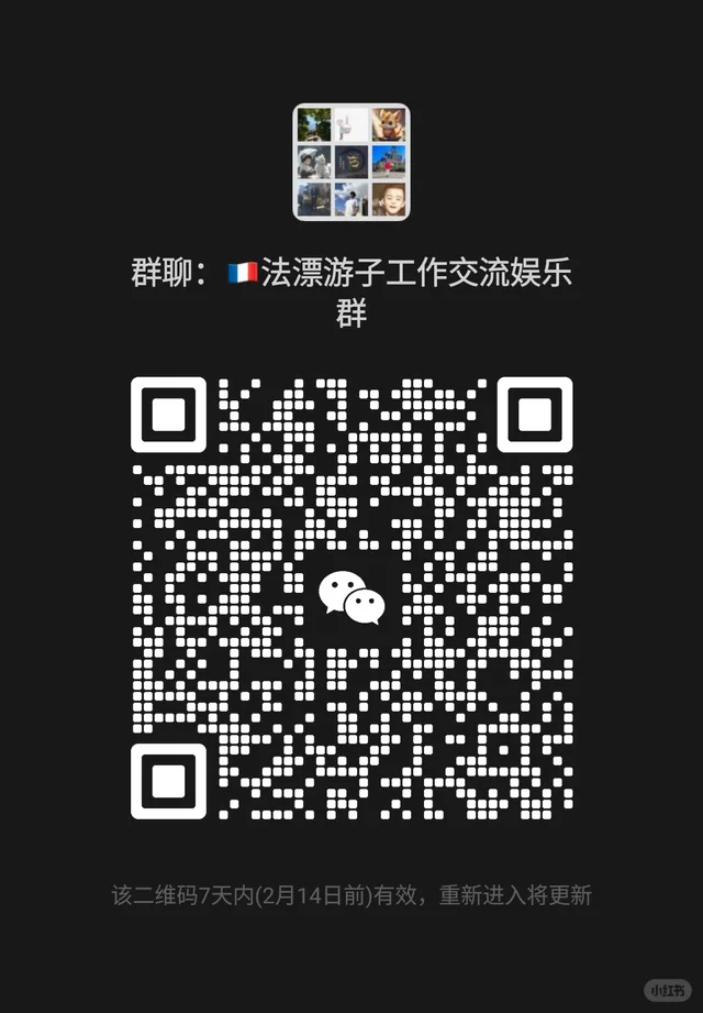 法国日常工作交流群 二维码缩略图