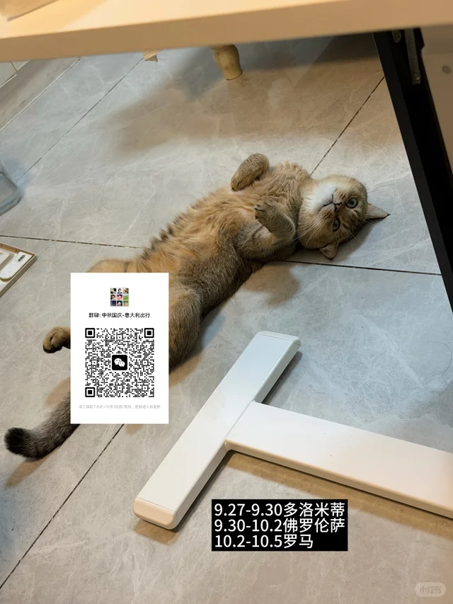 中秋国庆意大利出行 互助交流群~ 群二维码