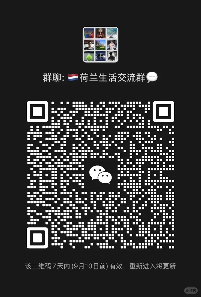 荷兰生活交流群 群二维码