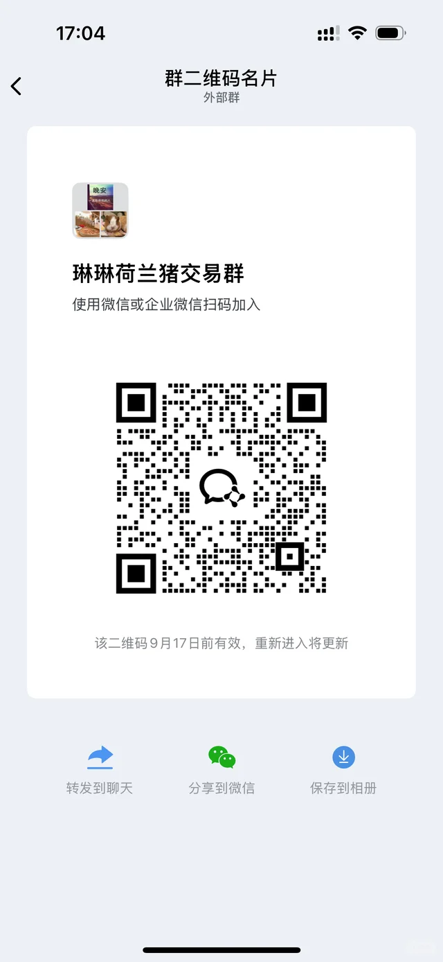 荷兰猪交流群 群二维码