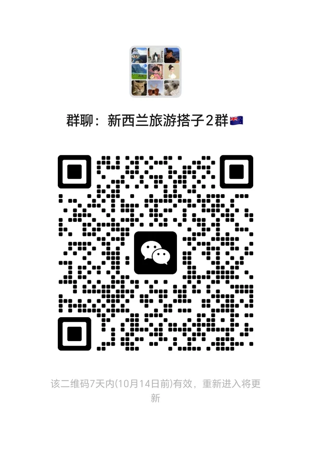新西兰旅游搭子群聊 二维码缩略图