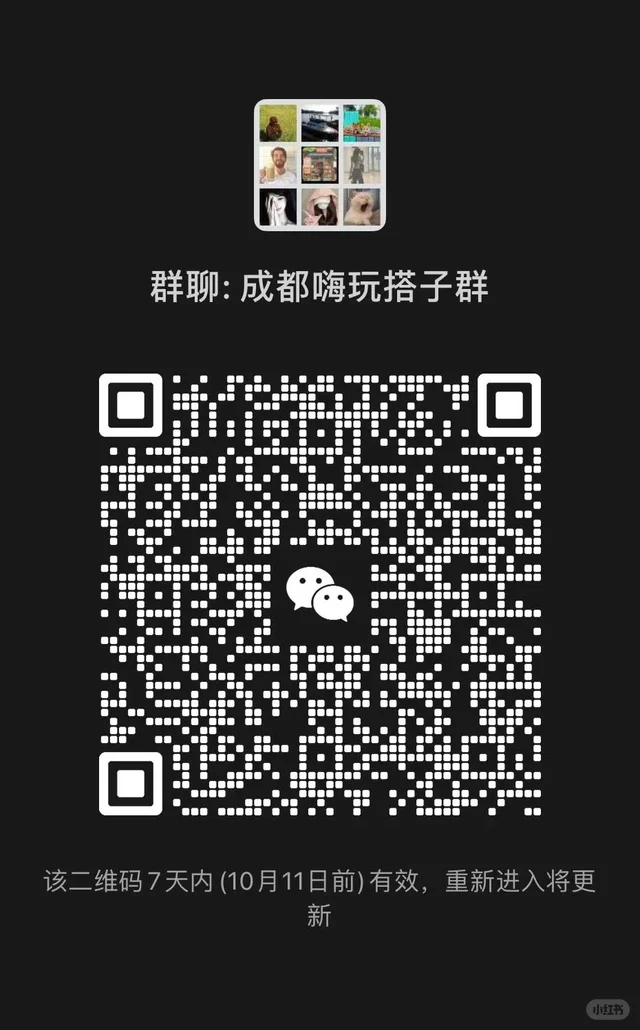 成都搭子群，有兴趣的进 二维码缩略图