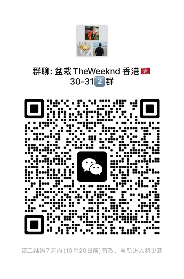 听说还有好多人没进30-31号盆栽群的 二维码缩略图
