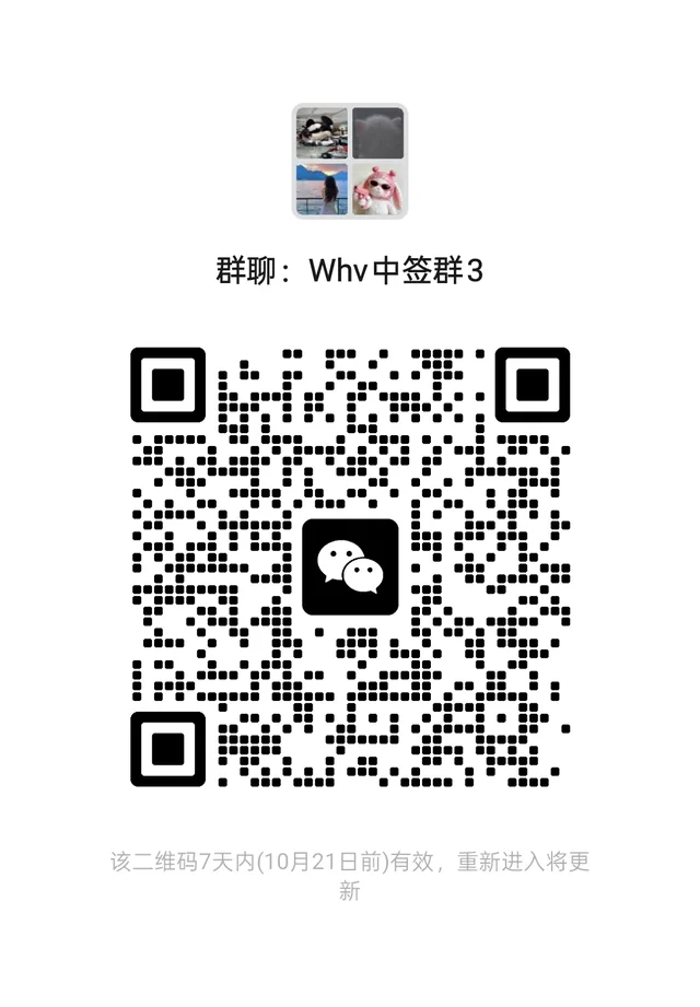 WHV中签群！ 二维码缩略图