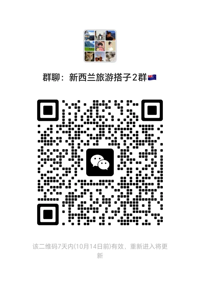 🐍新西兰旅游搭子2群 二维码缩略图