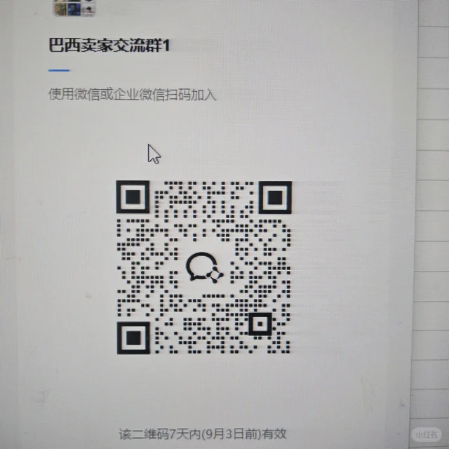 巴西卖家交流群，欢迎各位积极发言 二维码缩略图