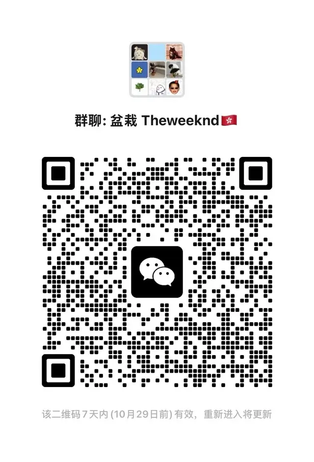 盆栽🎍演唱会群！ 二维码缩略图