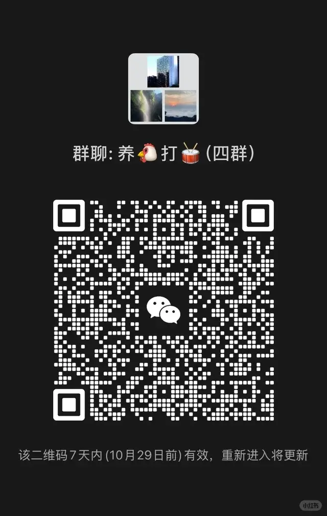 股民搭子群，一个人炒股票太孤独了 二维码缩略图