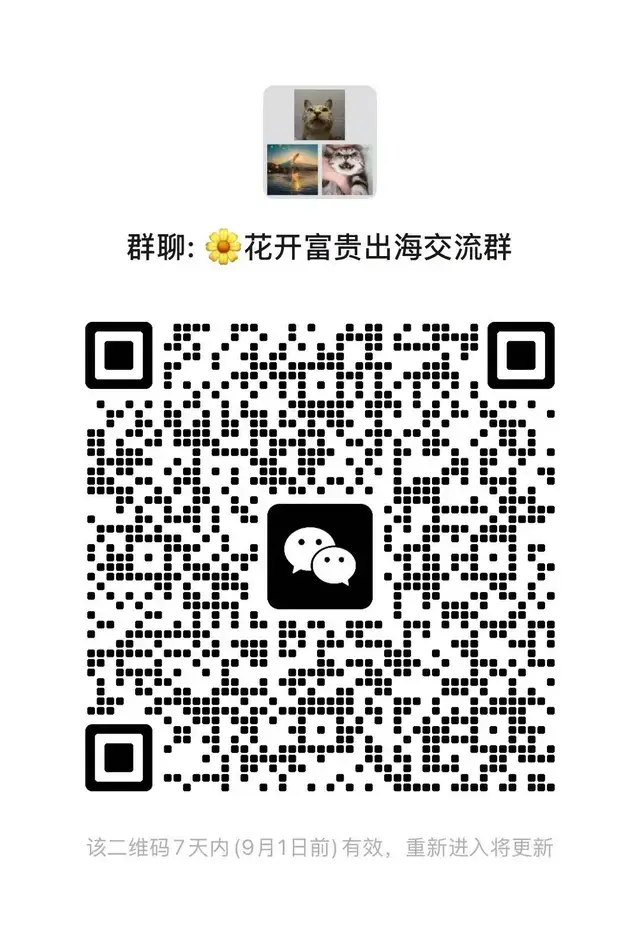 🚀 海外投放同行交流群 二维码缩略图