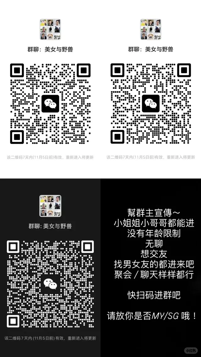 MY 交友群 二维码缩略图