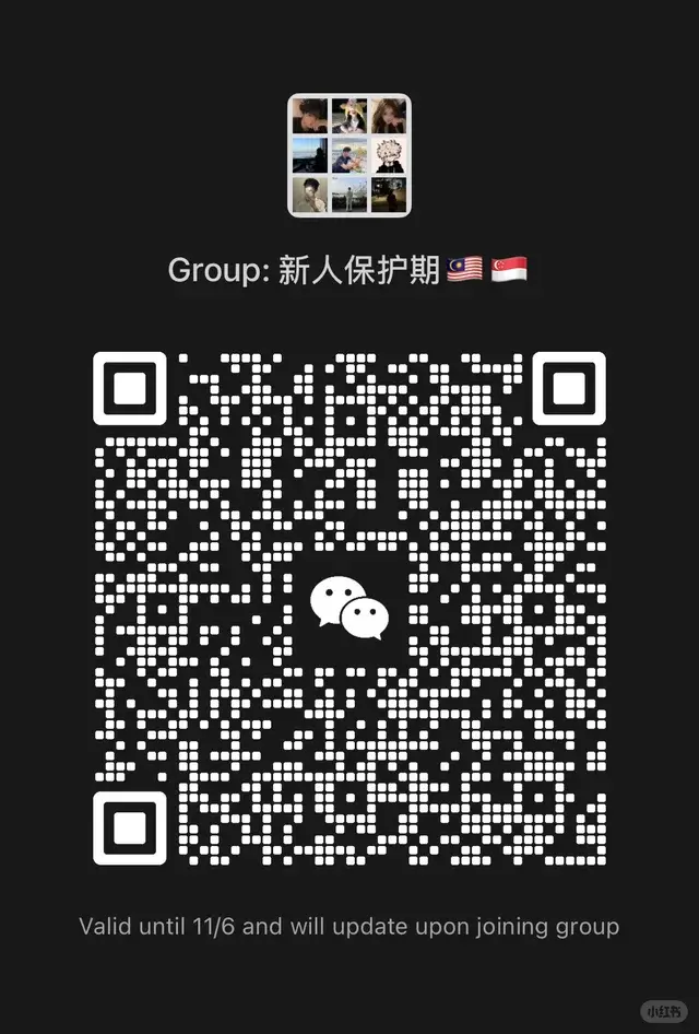 🇲🇾🇸🇬 二维码缩略图
