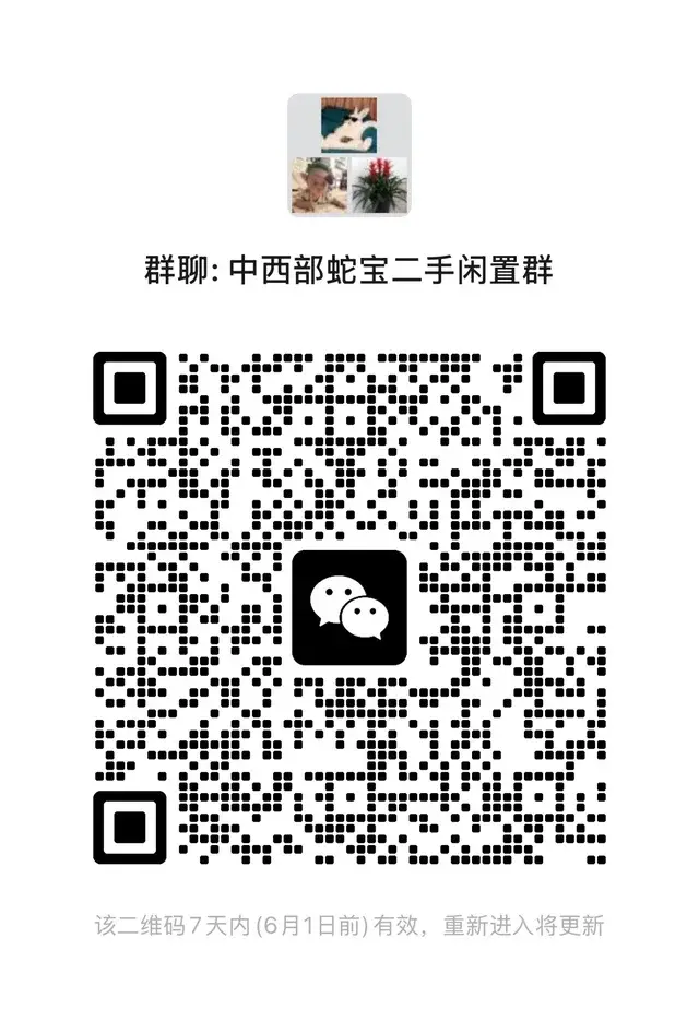 🇸🇬中部西部的蛇宝宝妈宝爸母婴二手群 二维码缩略图